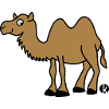 Kamel
