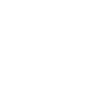 RC model