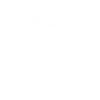 chevaux
