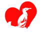 cormorant