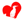 cormorant