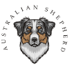 Australian Shepherd