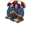 Parachutist