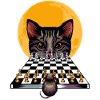 Chat souris jeu d'échecs