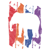 Elephant animal