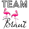 Braut Flamingo Team