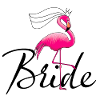 Hen party bride