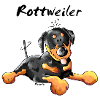 Sweet Rottweiler - Dog - Dogs