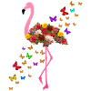 flamingo