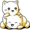 Chatons kawaii chat