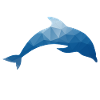 Dolphin - dolphin