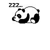 Le panda se repose