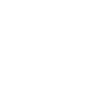 Aardvark - coati