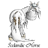 Viking Islandais Cheval - Chevaux
