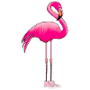 Flamingo with Sneaker Bird Pink