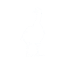 goose