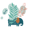 éléphant dans la savane