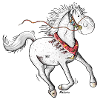 Cheval Arabe Mignon - Chevaux
