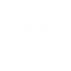 Bachelor Party T-Shirt