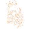 Skull Skull Skull Flowers