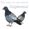 Pigeon dans le mauvais quartier