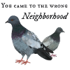 Pigeon dans le mauvais quartier