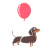Dachshund animal lover