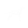 dalmatien
