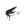 Chat joue du piano.