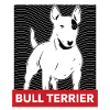 bull-terrier