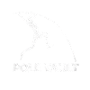 Pole vault