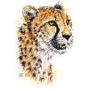 SM Gepard | cheetah T-Shirts