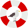Möwe im Rettungsring