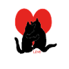 Feline