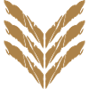 Soldat rang Insignia général