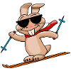 Cooler Hase fährt Ski