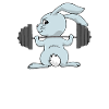 Formation de lapin