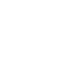 Vegvisir skull, Viking compass