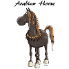 Cheval Arabe Mignon - Chevaux