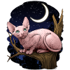 Sphynx