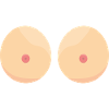Brüste