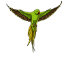 Perroquet perroquet oiseau