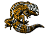 Leopard Gecko Lizard Reptile