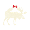 Canada Canadian Flag