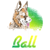 German Shepherd Dog Playing