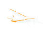 Propellerflugzeug Flieger Pilot Flugzeug