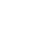 Palm trees beach island