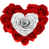 Heart of Roses