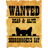 Schrodinger's cat
