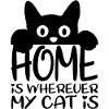Katze